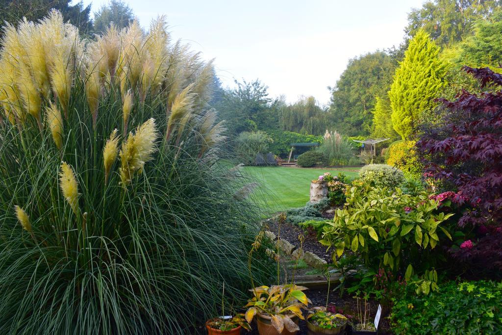 Beechwood Bed & Breakfast Lewes