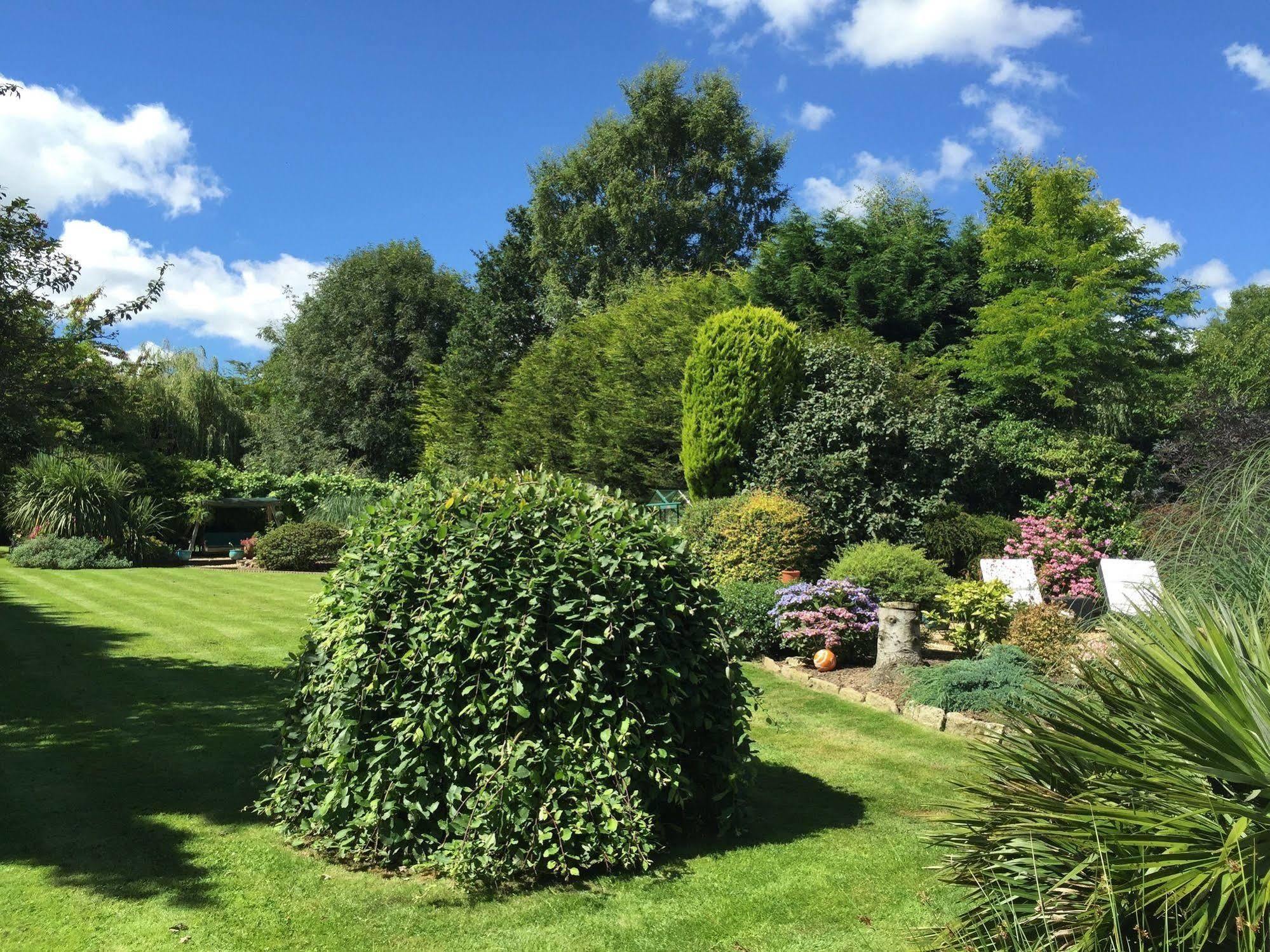 Beechwood 5*
